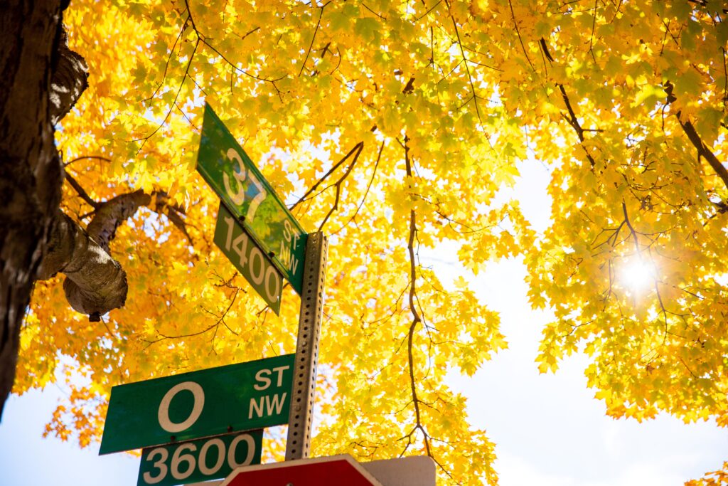 Corner of 37th and O Street signage against yellow fall leaves